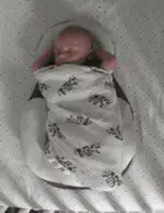 PORTABLE BABY BED