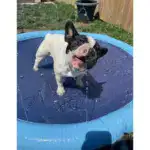 Non-Slip Splash Pad for Kids and Dog