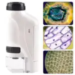 Pocket Microscope for Kids