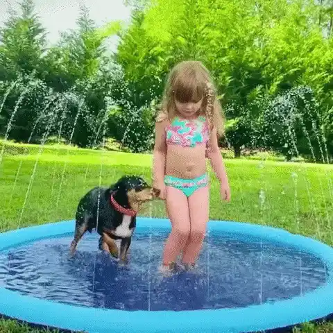 Large water park for pets