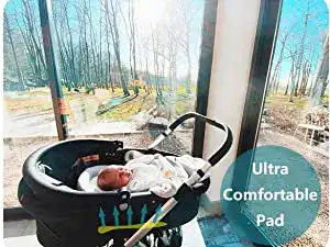Stroller Use
