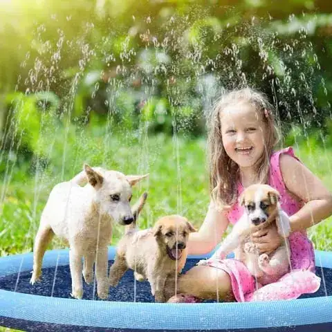 Portable splash pool