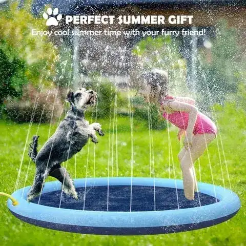 Splash pad for dogs and kids