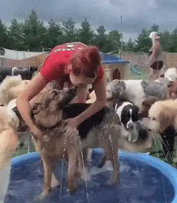 Fun water sprinkler